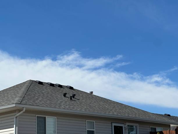 Best Metal Roofing Installation  in Ruhenstroth, NV